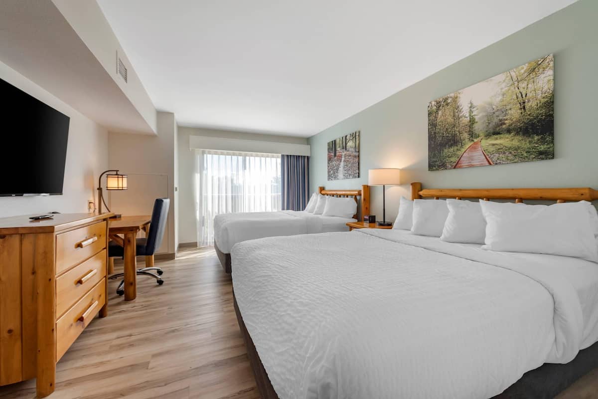 Suite, Multiple Beds, Non Smoking (Efficiency)