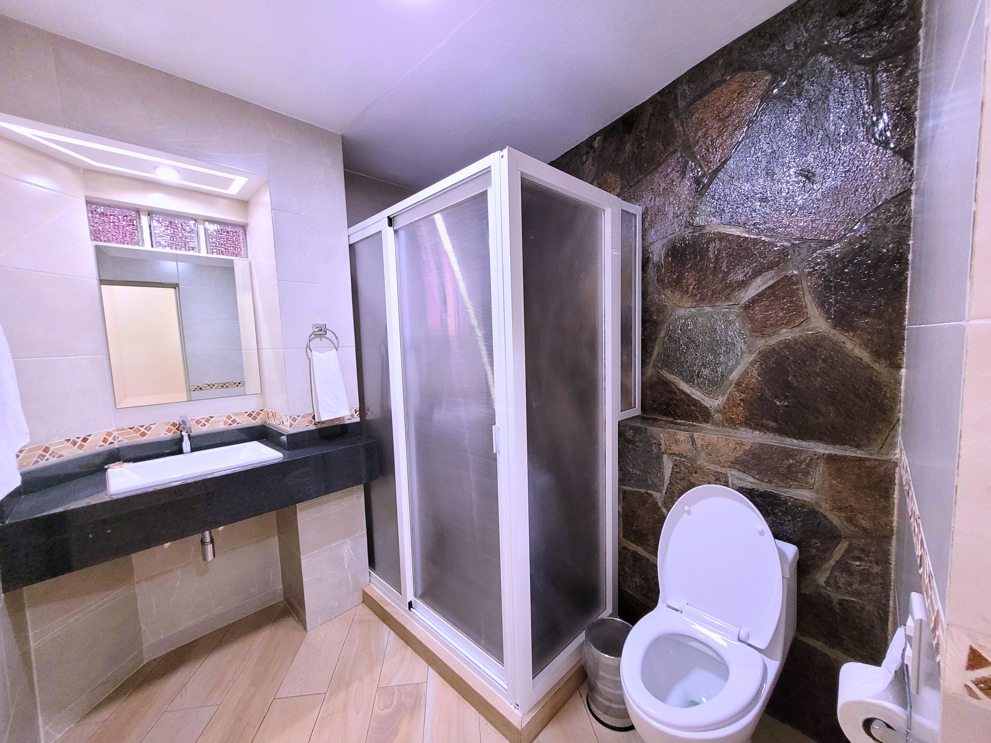 standard room | bathroom | hydromassage showerhead, free toiletries, hair dryer, towels