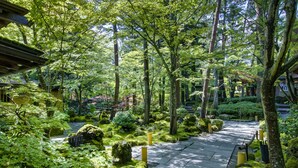 A traditional Japanese garden with stone pathways, moss-covered rocks, and various types of greenery. - Fujisan Onsen Hotel Kaneyamaen (Fujiyoshida)