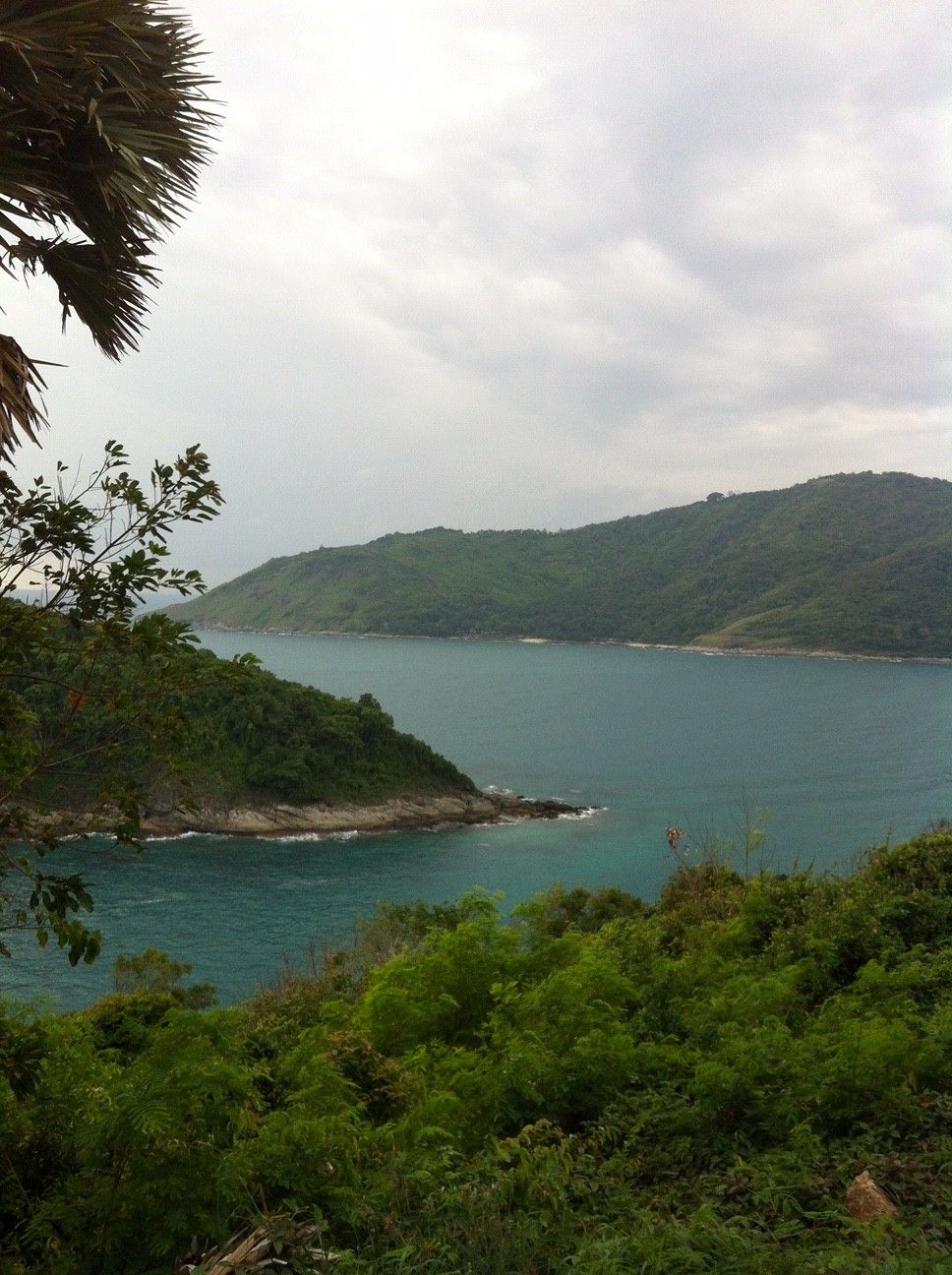 A coastal landscape with dense greenery and a calm sea.
