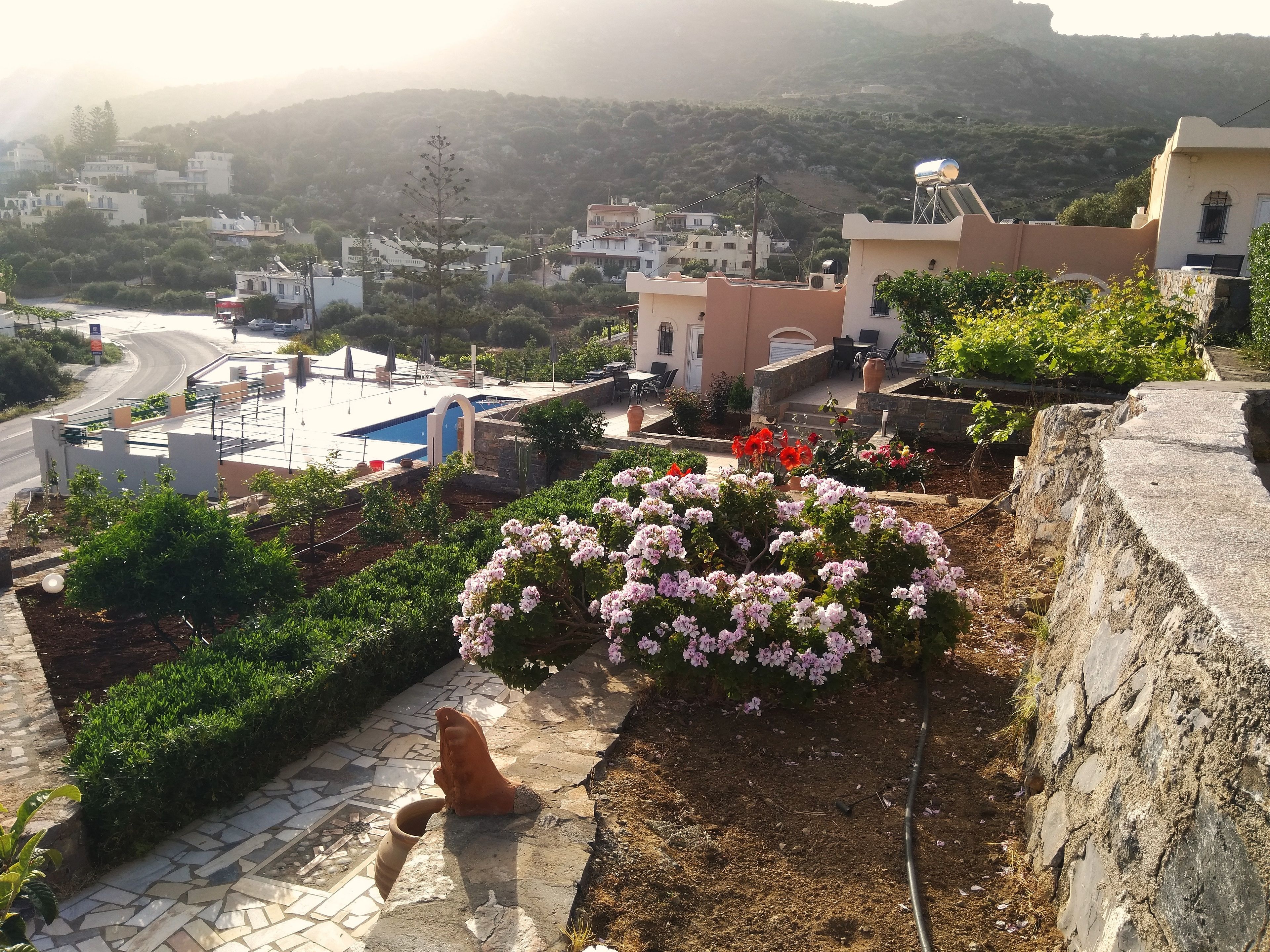 A residential area with a garden, a swimming pool, and a view of a hilly landscape.