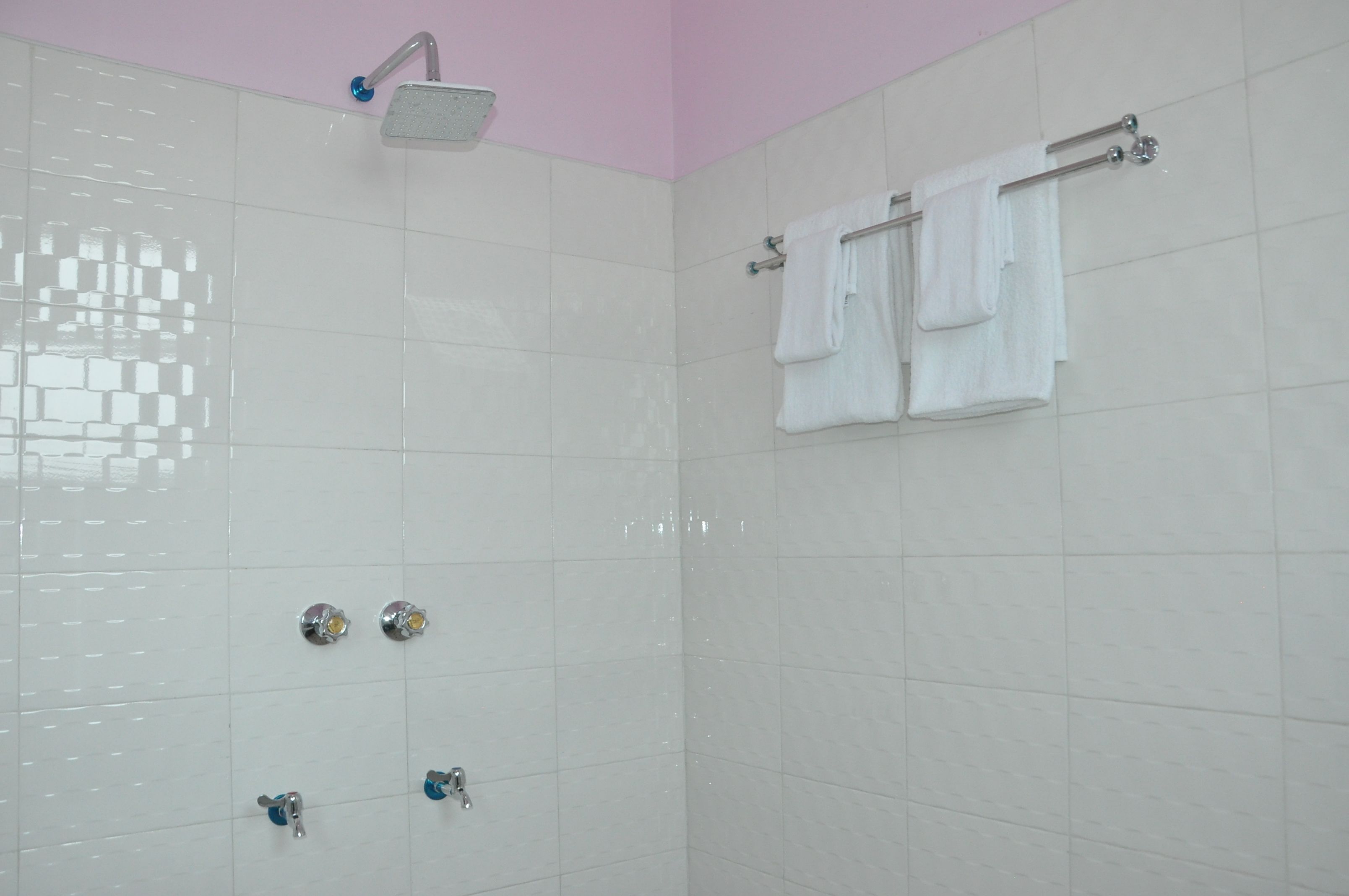 shower, free toiletries, hair dryer, slippers