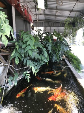 Ngoại thất