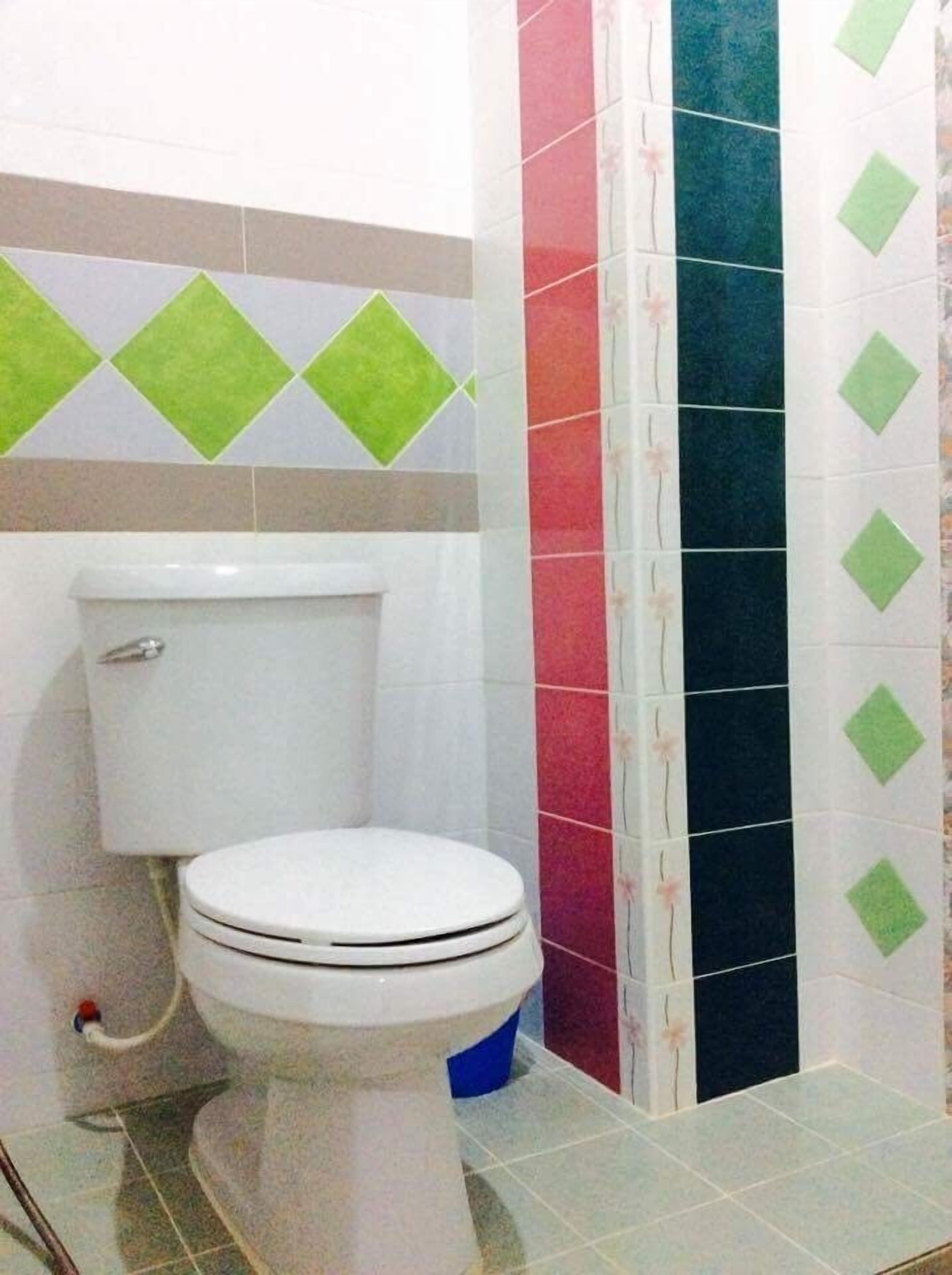 Un baño con inodoro, una pared con diseño de diamantes verdes y una franja vertical de azulejos en rojo, negro y azul.
