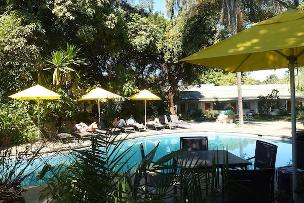 Outdoor pool, pool umbrellas, pool loungers