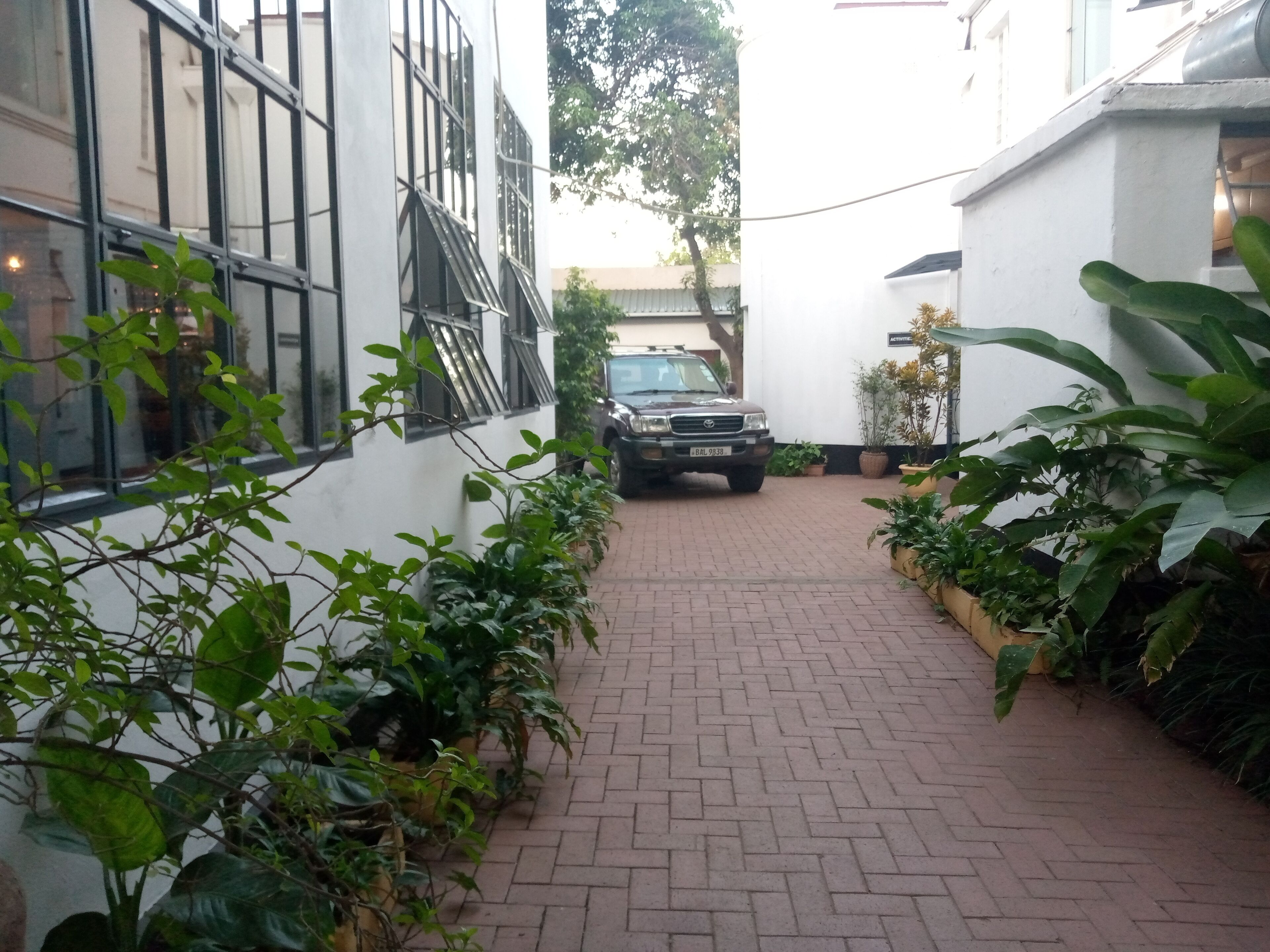 A paved pathway leading to a parked vehicle, flanked by lush green plants and white walls.