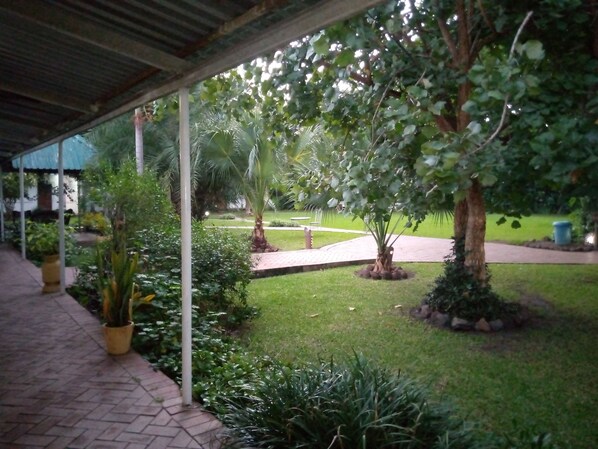 A covered outdoor area with a paved walkway, surrounded by various potted plants and trees.