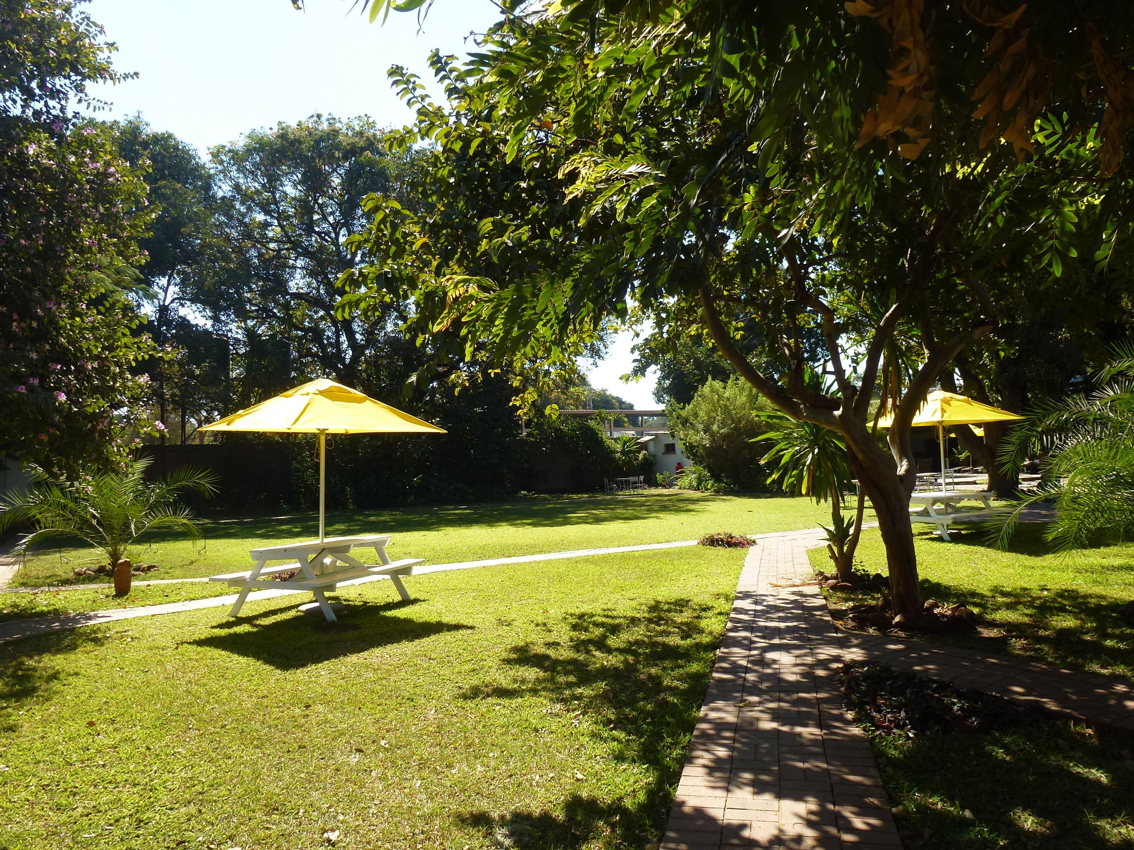 A well-maintained grassy area with picnic tables and yellow umbrellas, suggesting a public park or outdoor seating area.