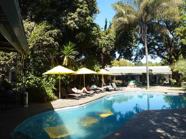 Outdoor pool, pool umbrellas, pool loungers