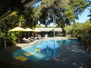 Outdoor pool, pool umbrellas, pool loungers