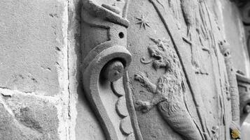 A close-up of a stone wall with intricate carvings, including a stylized animal and decorative motifs.