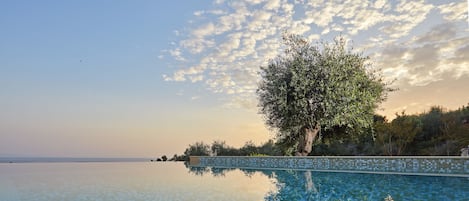 Villa Exécutive, piscine privée | Piscine