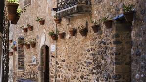 Un edificio in pietra con diverse finestre, alcune con vasi di piante.