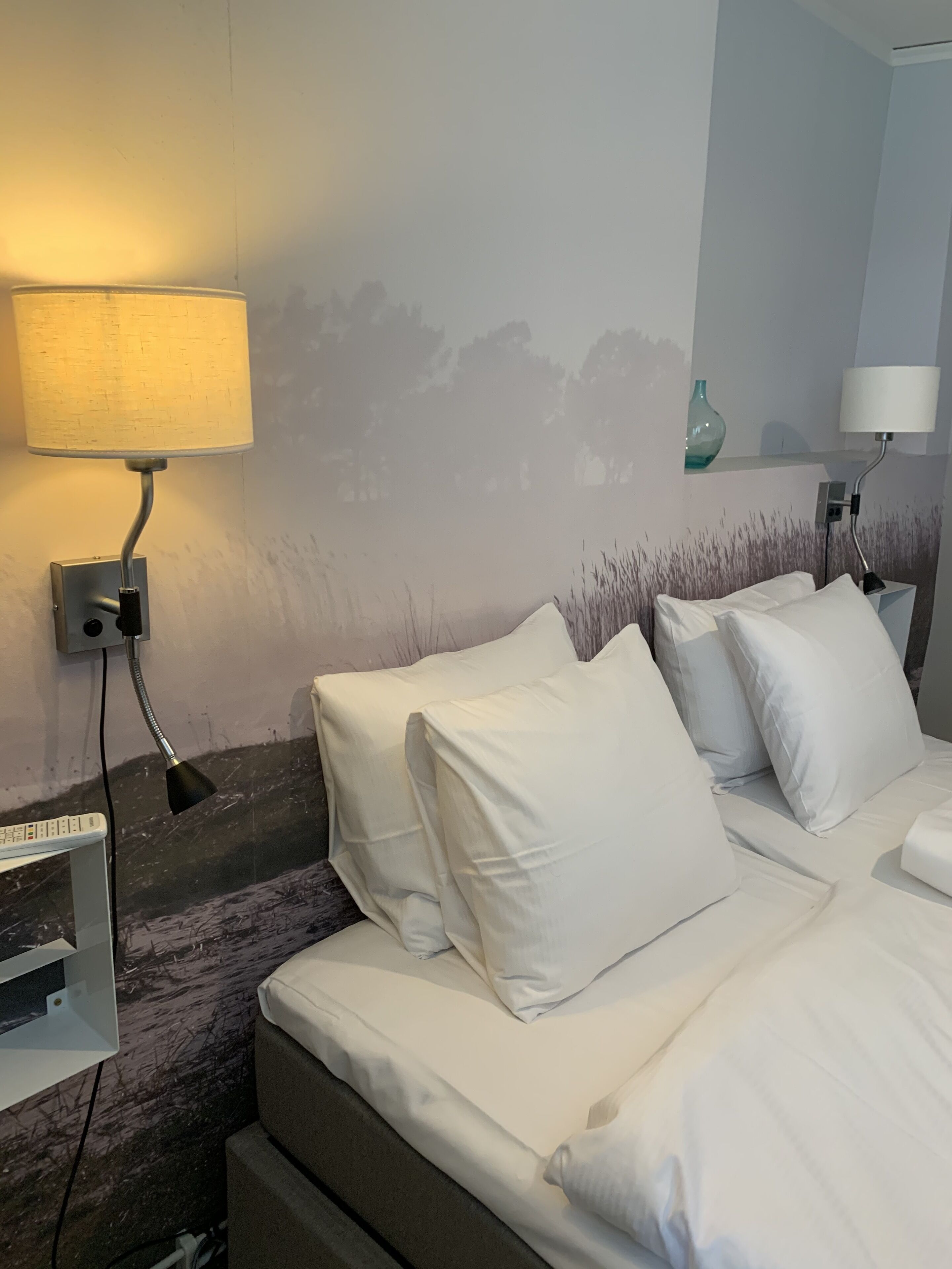 Iron/ironing board, free WiFi, bed sheets