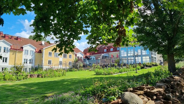 A residential area with colorful houses, a well-maintained garden, and a stone wall. - Halltorps Gästgiveri (Borgholm)