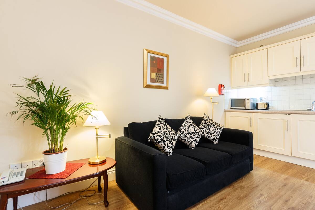 A living room with a black sofa, a potted plant, a lamp, and a framed picture on the wall.