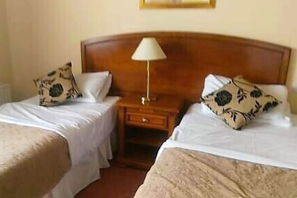 Chambre Deluxe avec lits jumeaux | 1 chambre, chambres insonorisées, fer et planche à repasser