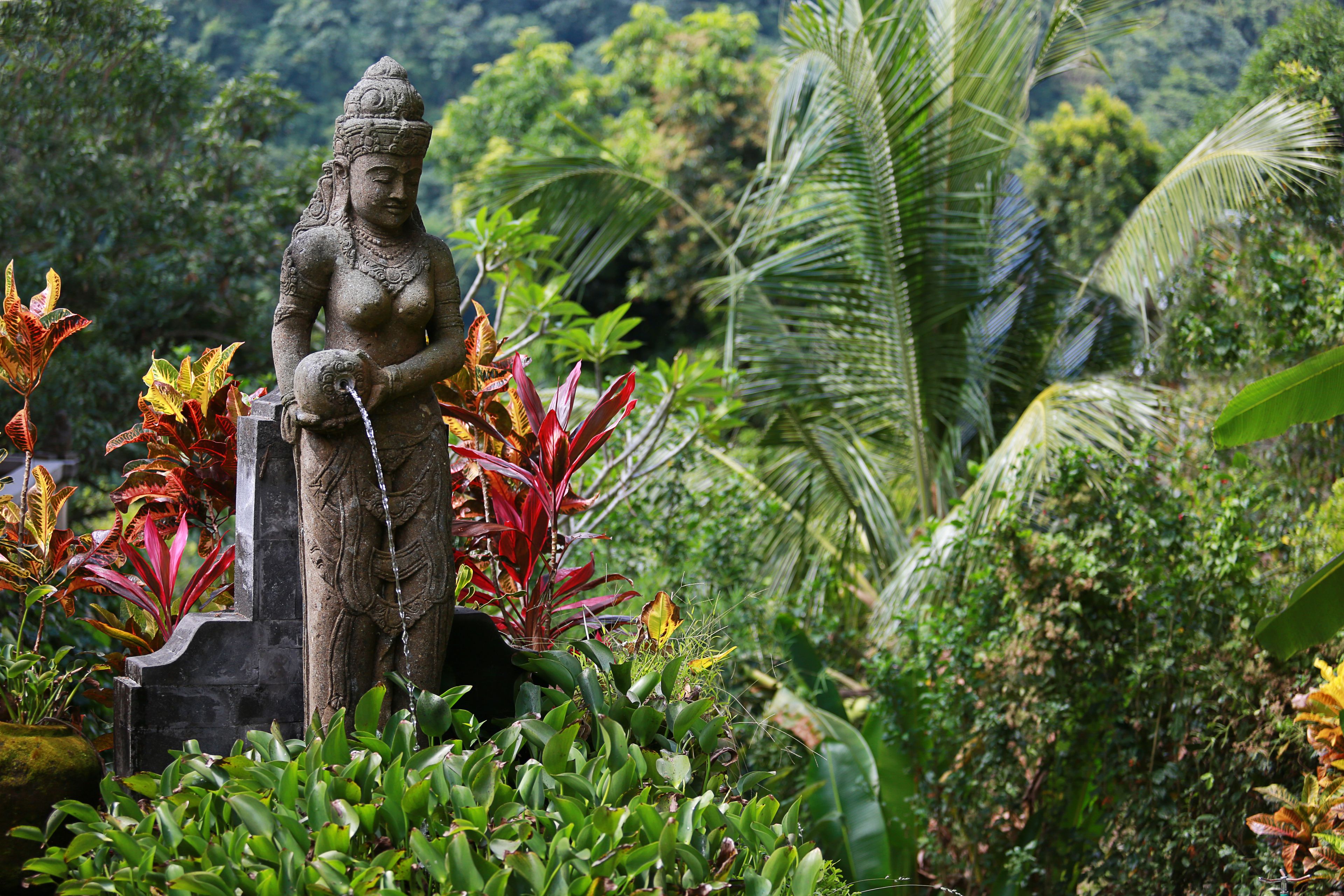 Photo - Villa Patria