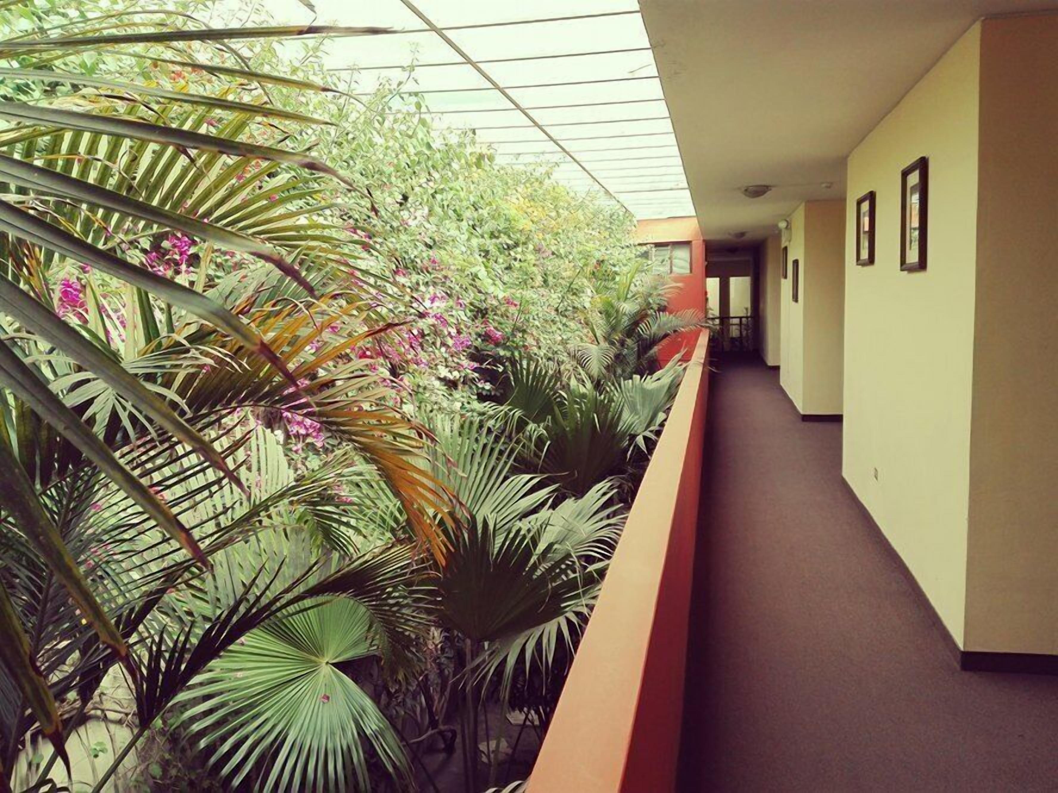 Photo - Hotel Meliana