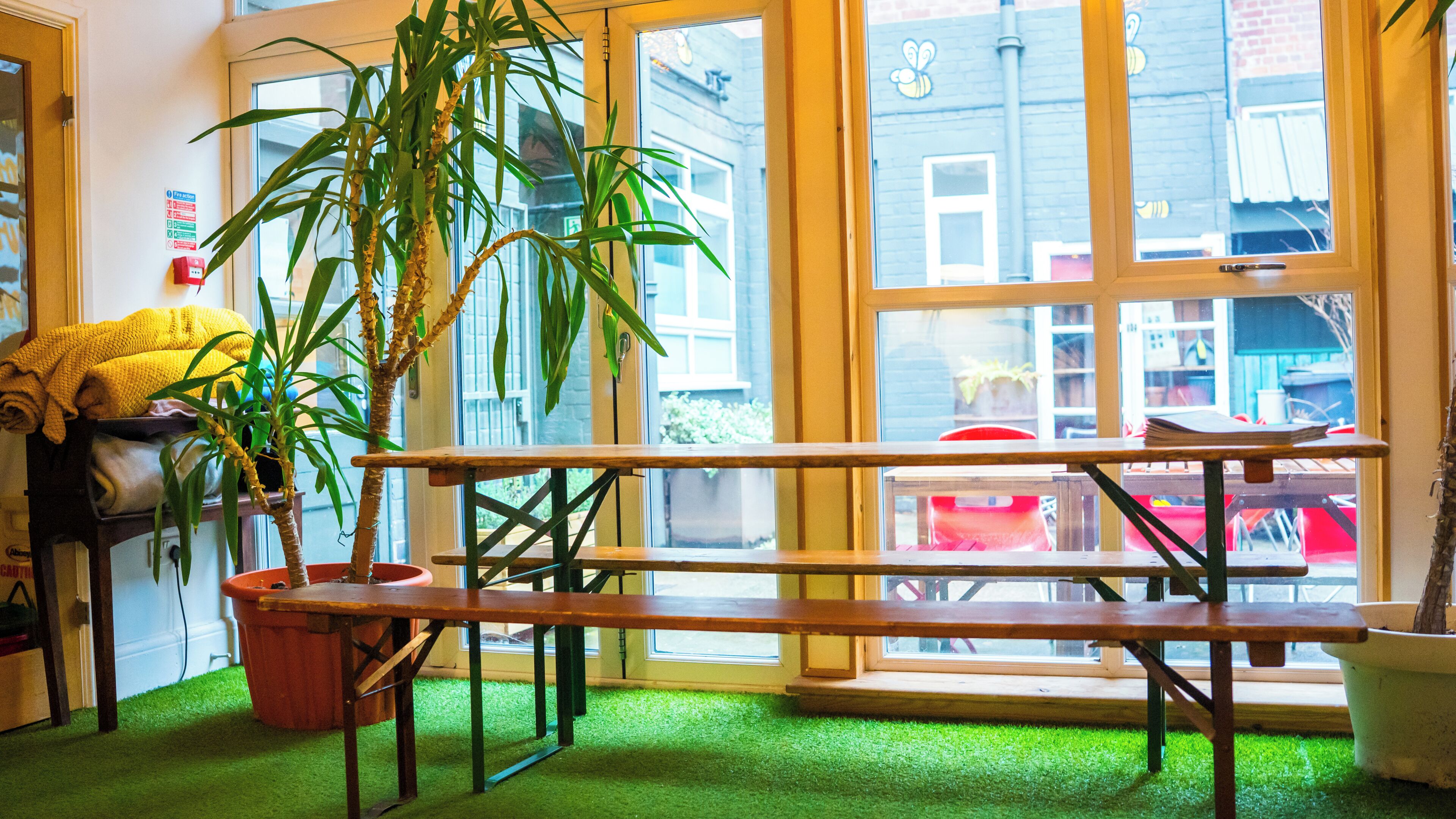 A room with a wooden bench, a potted plant, a window, and a view of the outside.