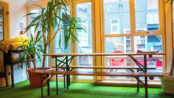 A room with a wooden bench, a potted plant, a window, and a view of the outside.