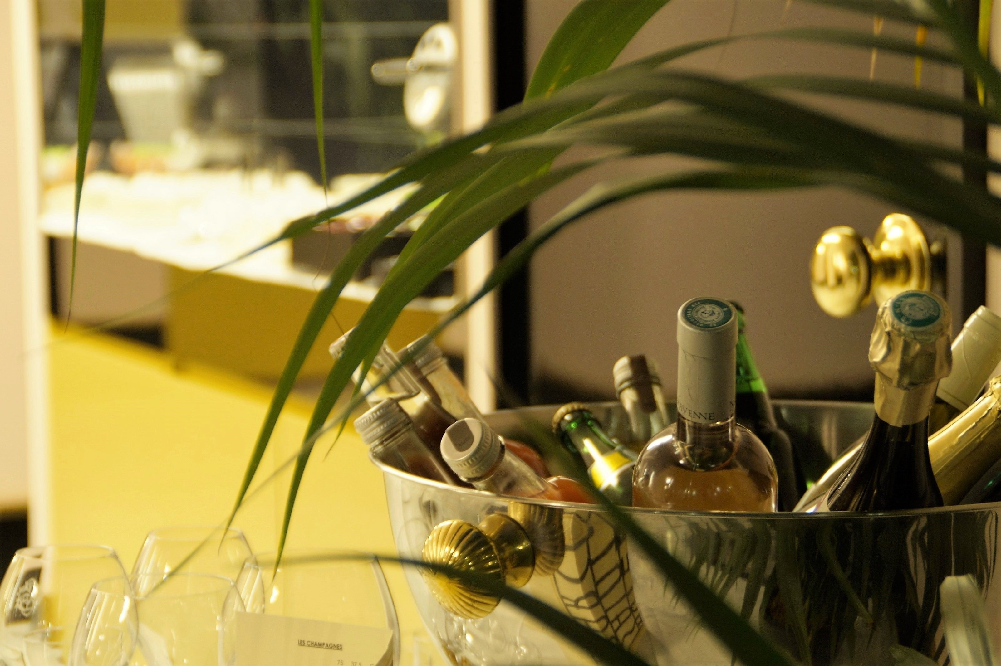 A glass container filled with various bottles, likely containing beverages, with a plant in the foreground.