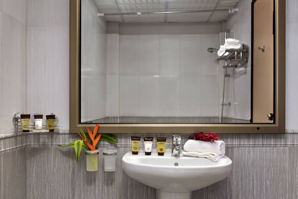 combined shower/bathtub, deep-soaking bathtub, free toiletries