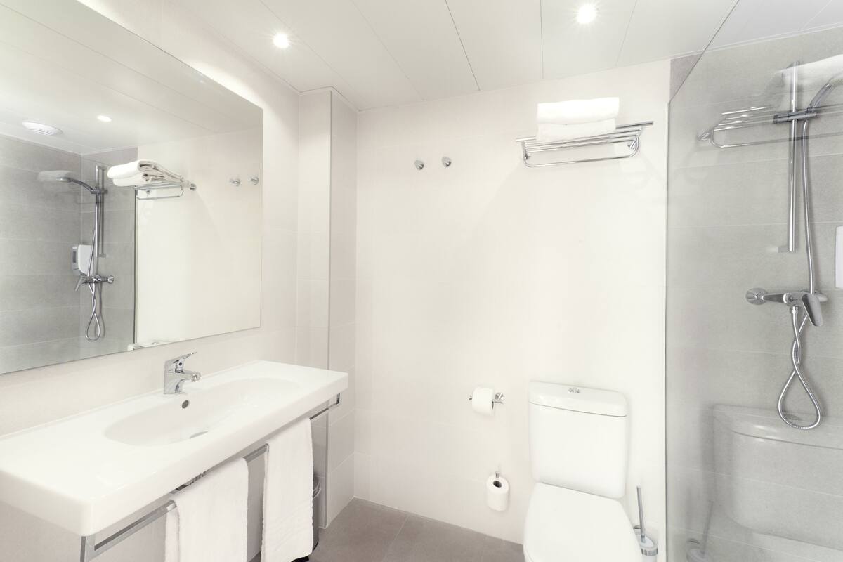 shower, free toiletries, hair dryer, towels