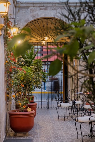 Terraza o patio