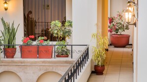Pasillo de hotel con plantas en macetas, una escalera y una puerta con un cartel.