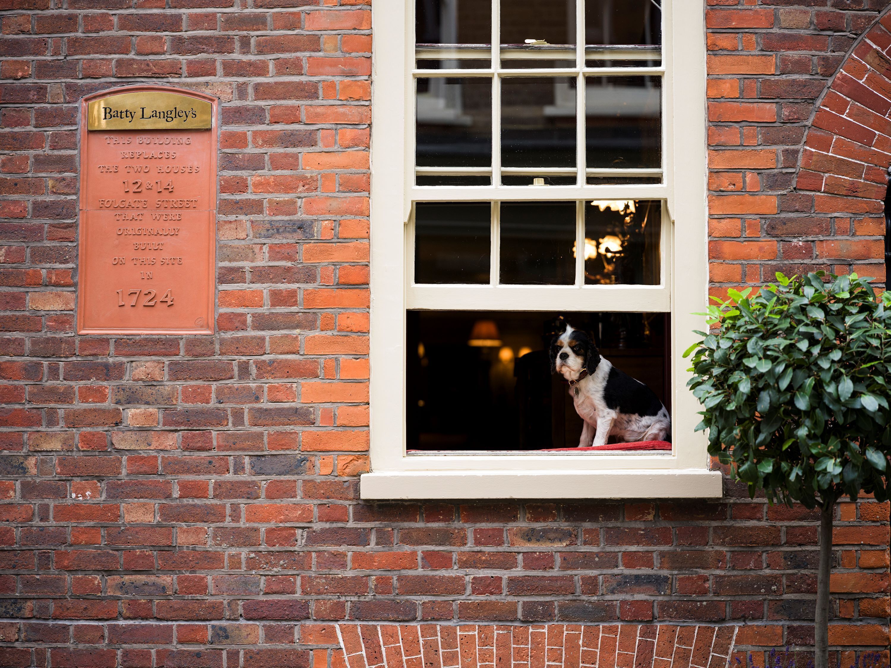 Foto - Batty Langley's