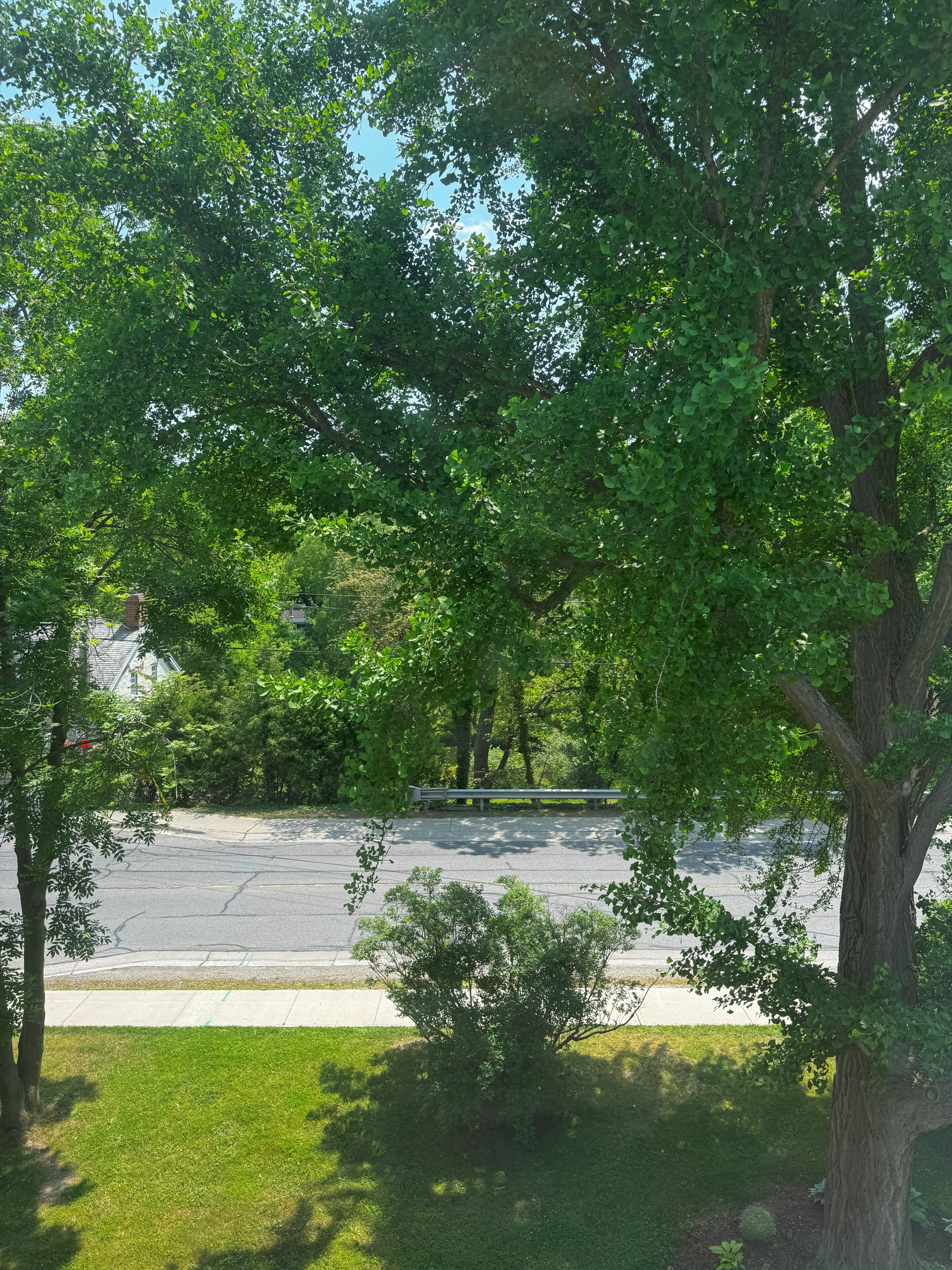 Foto - Woodbourne Inn