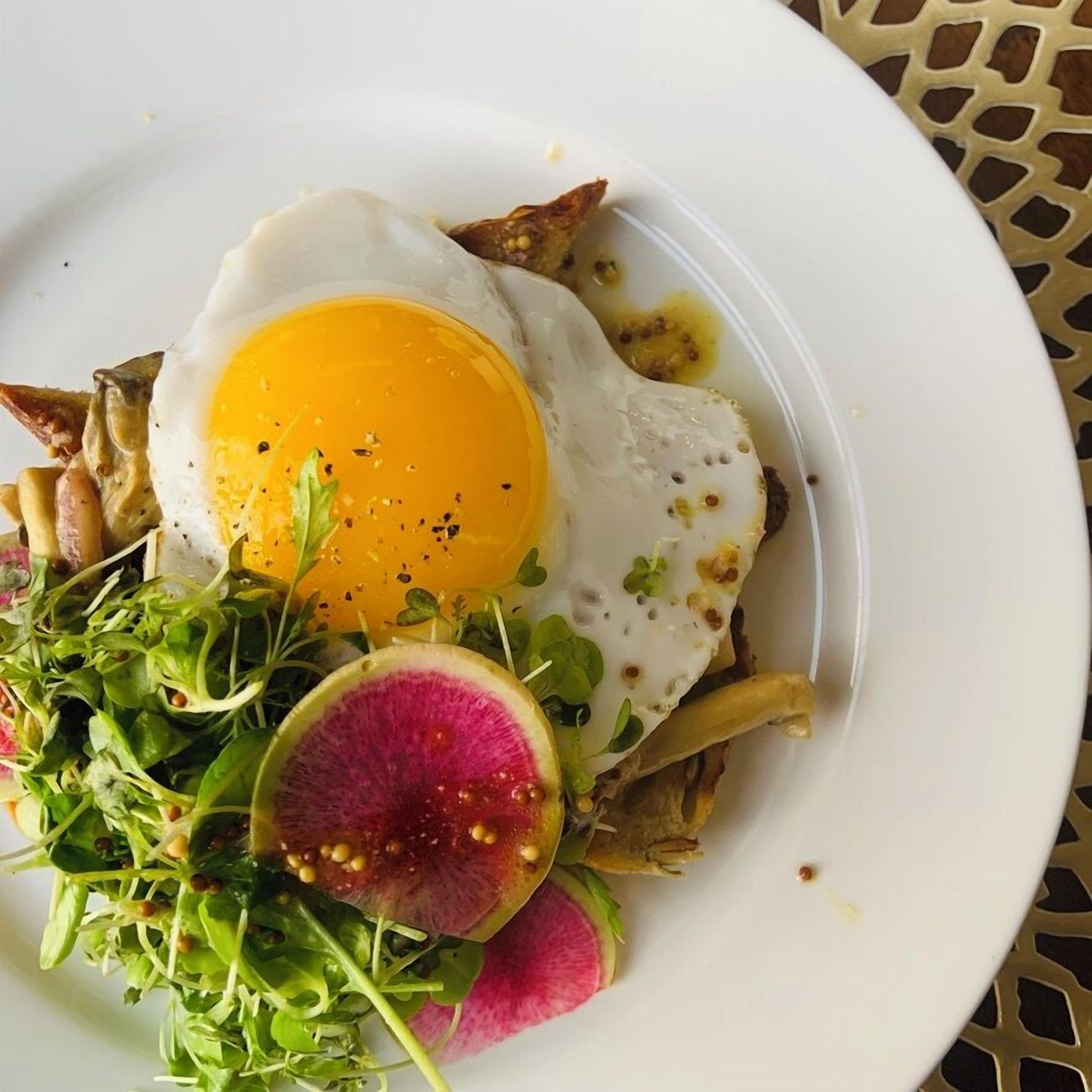 Ein Teller mit Spiegelei, Grünzeug und einem Radicchio-Scheibchen.