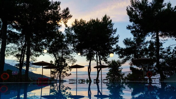 Une piscine dotée de parasols et de bancs, entourée d’arbres et d’une clôture.