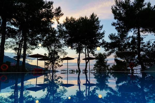 Outdoor pool, pool umbrellas, sun loungers