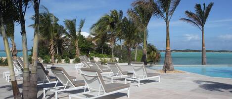 A poolside area with lounge chairs and palm trees.
