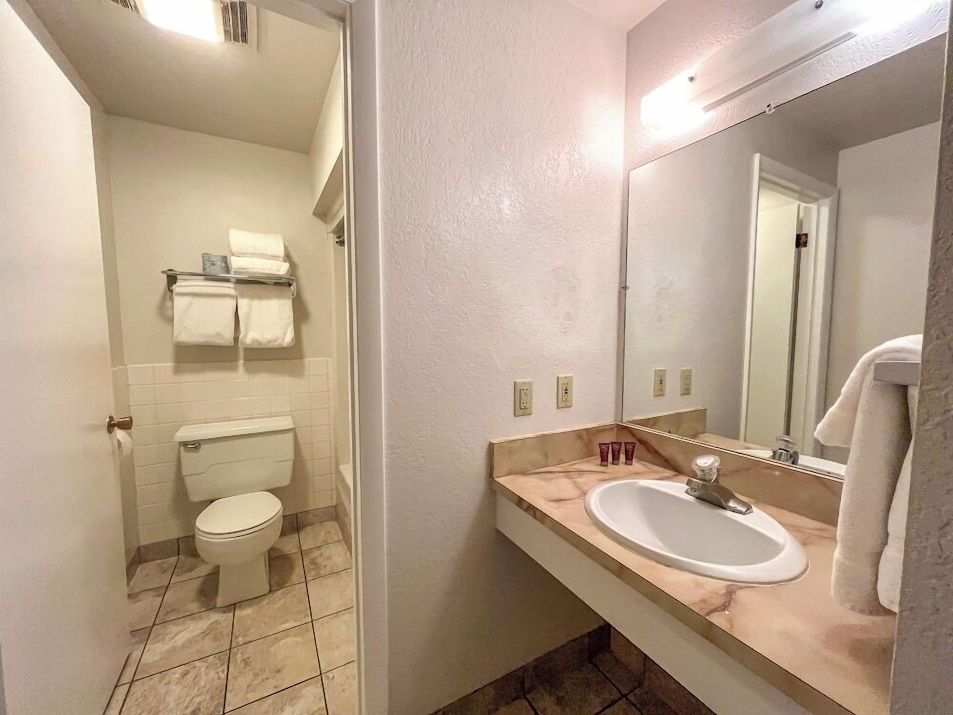 Une salle de bain équipée de toilettes, d’un lavabo, d’un miroir et d’un porte-serviettes.