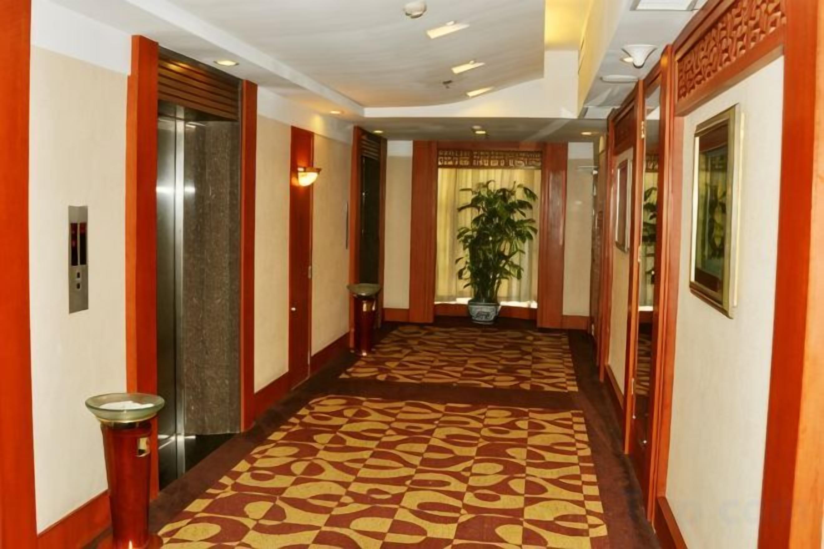 Un pasillo de hotel con alfombra estampada, puertas de madera y una planta en maceta.