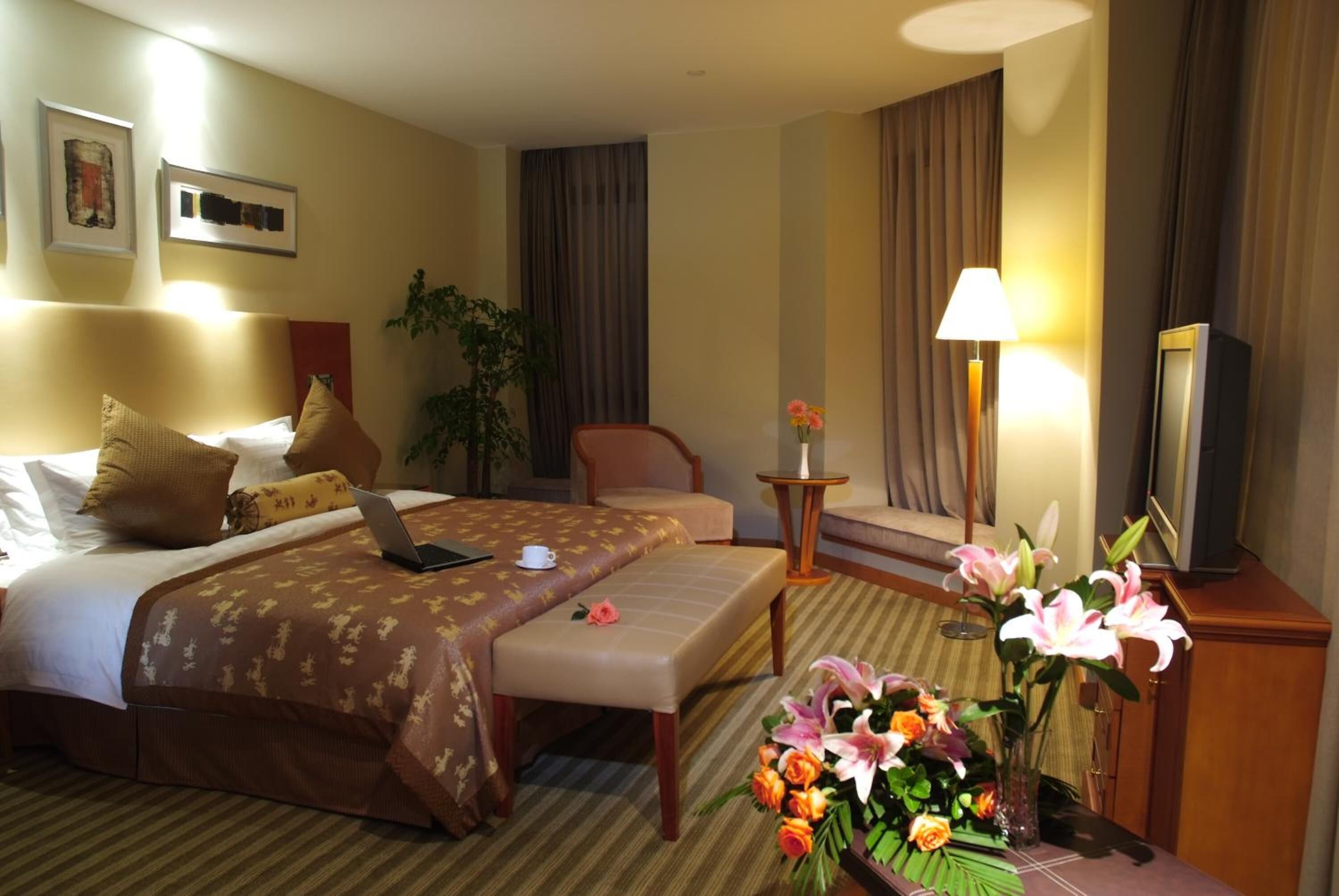 Quarto