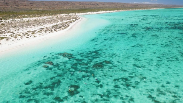 Vista aérea de una playa con aguas turquesas cristalinas, una orilla arenosa y vegetación escasa.