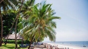 Ein Strand mit Palmen, einem Sandweg und Blick aufs Meer.