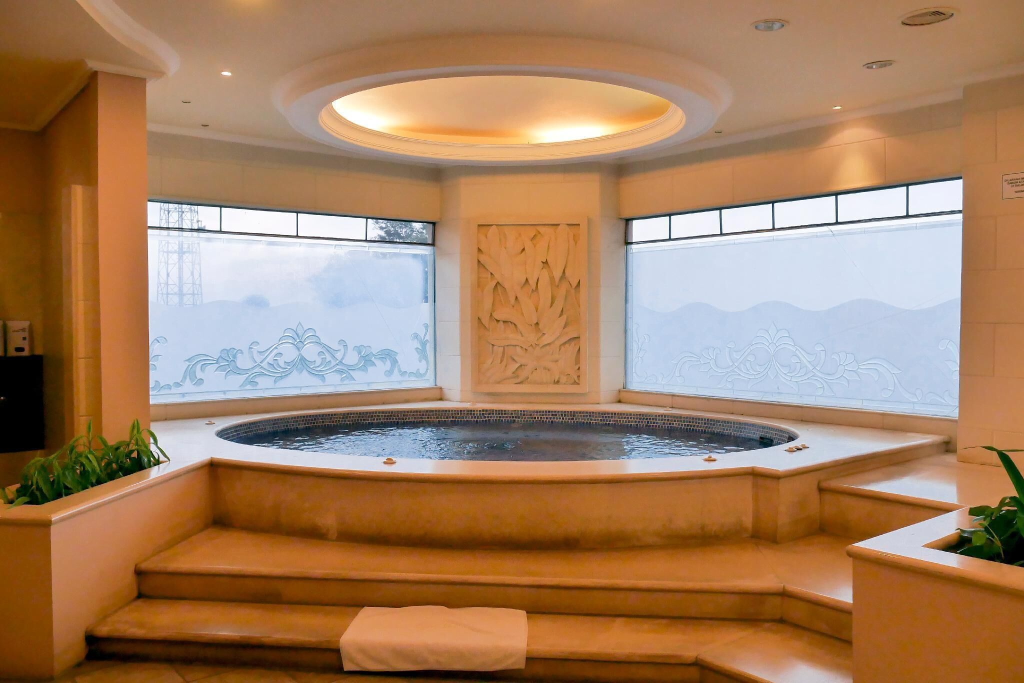 A spa area with a hot tub, steps leading to it, and decorative wall panels.