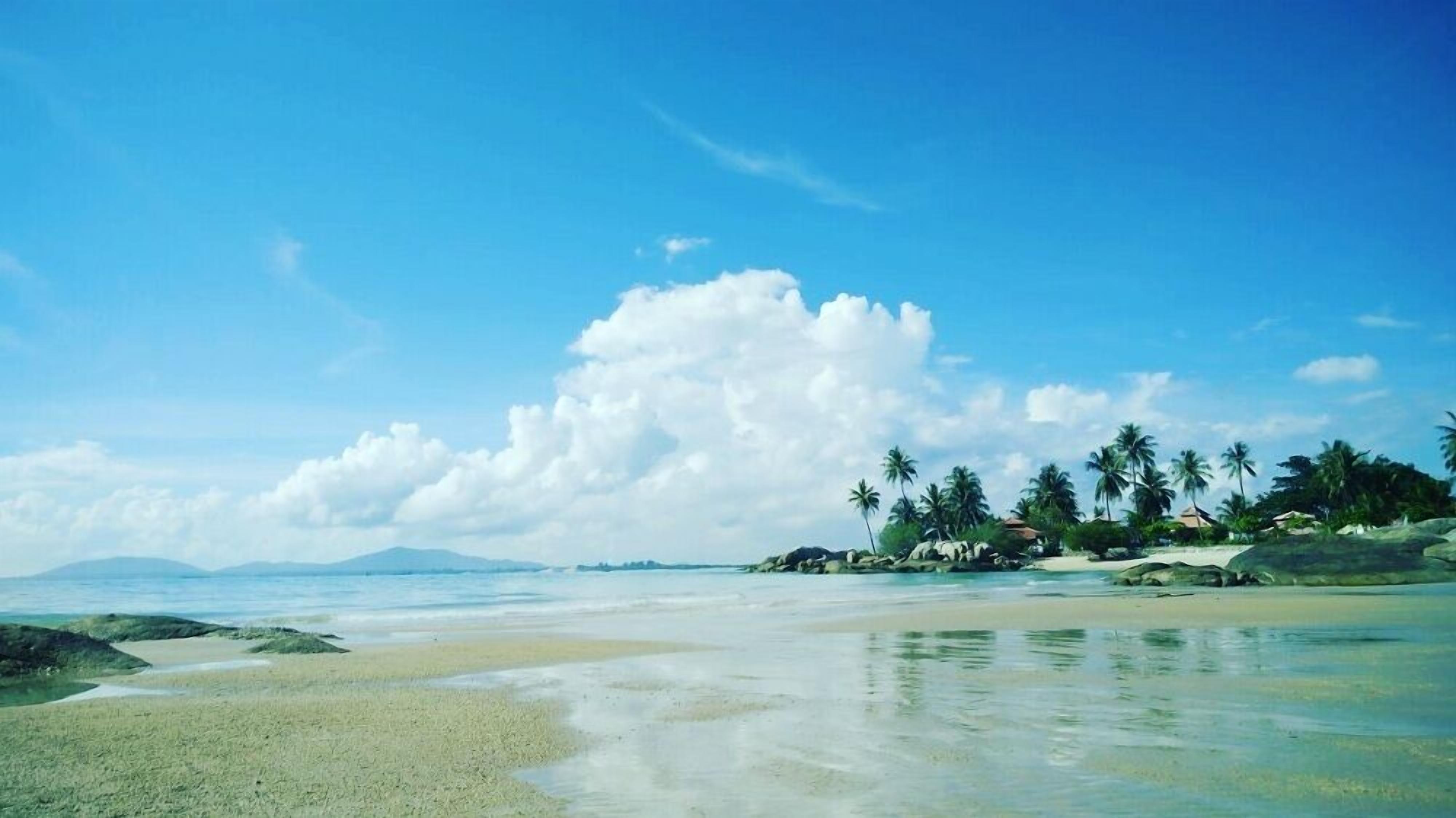 A beach with clear water, a sandy shore, and palm trees.