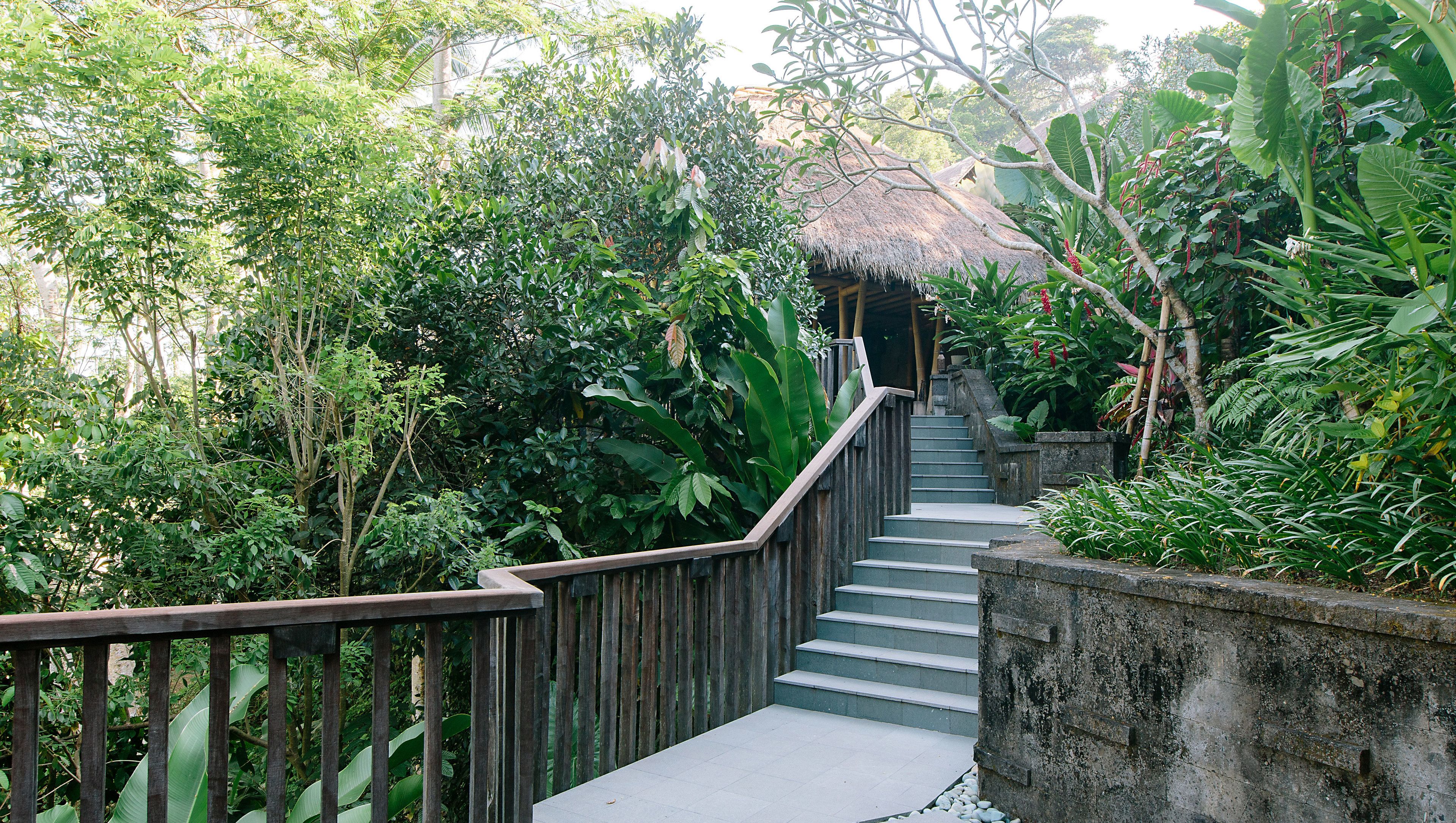 A staircase surrounded by lush greenery, leading to a thatched-roof structure.