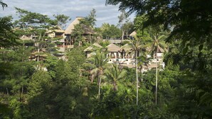 A tropical resort with thatched-roof bungalows surrounded by dense greenery.