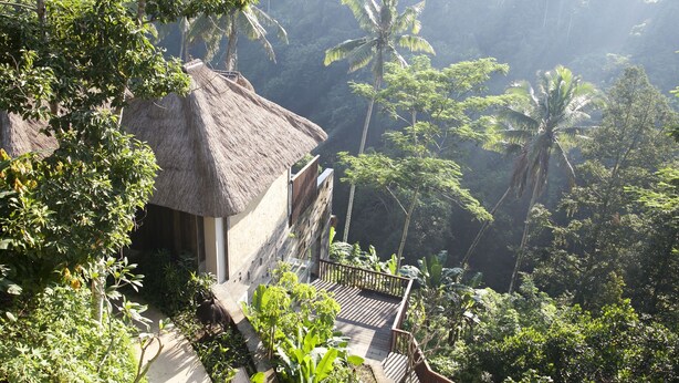 Une construction à toit de chaume dotée d’une terrasse en bois, entourée d’une végétation tropicale luxuriante et de palmiers.