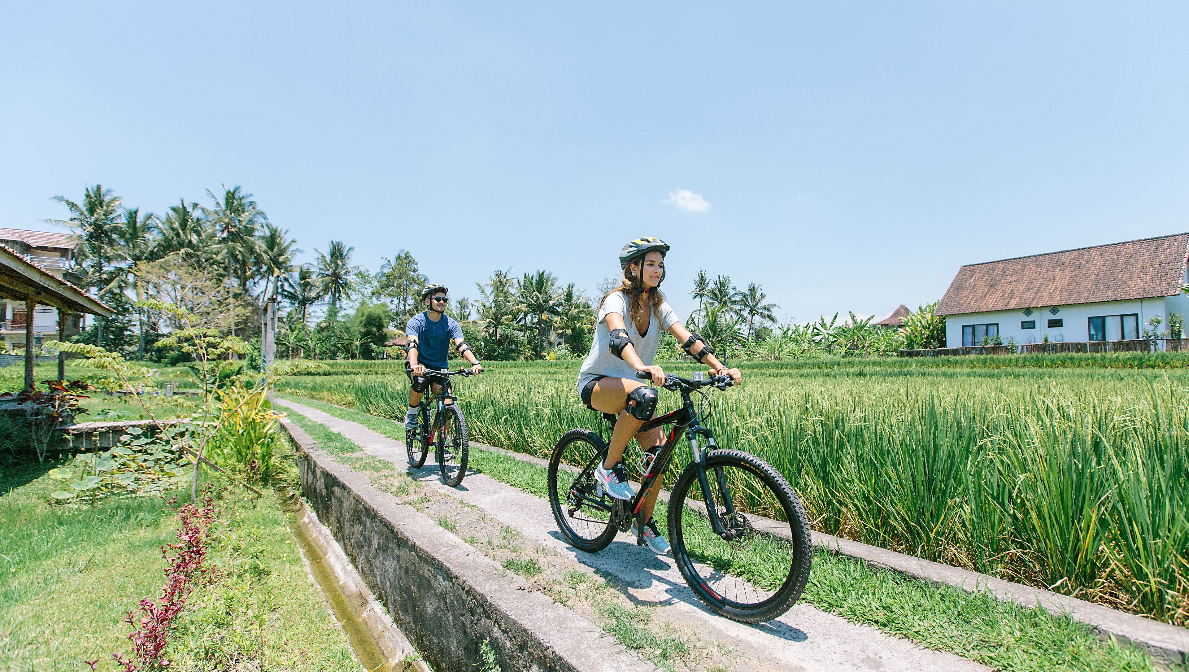Two people riding bicycles on a concrete path beside a rice field, with houses and palm trees in the background.
