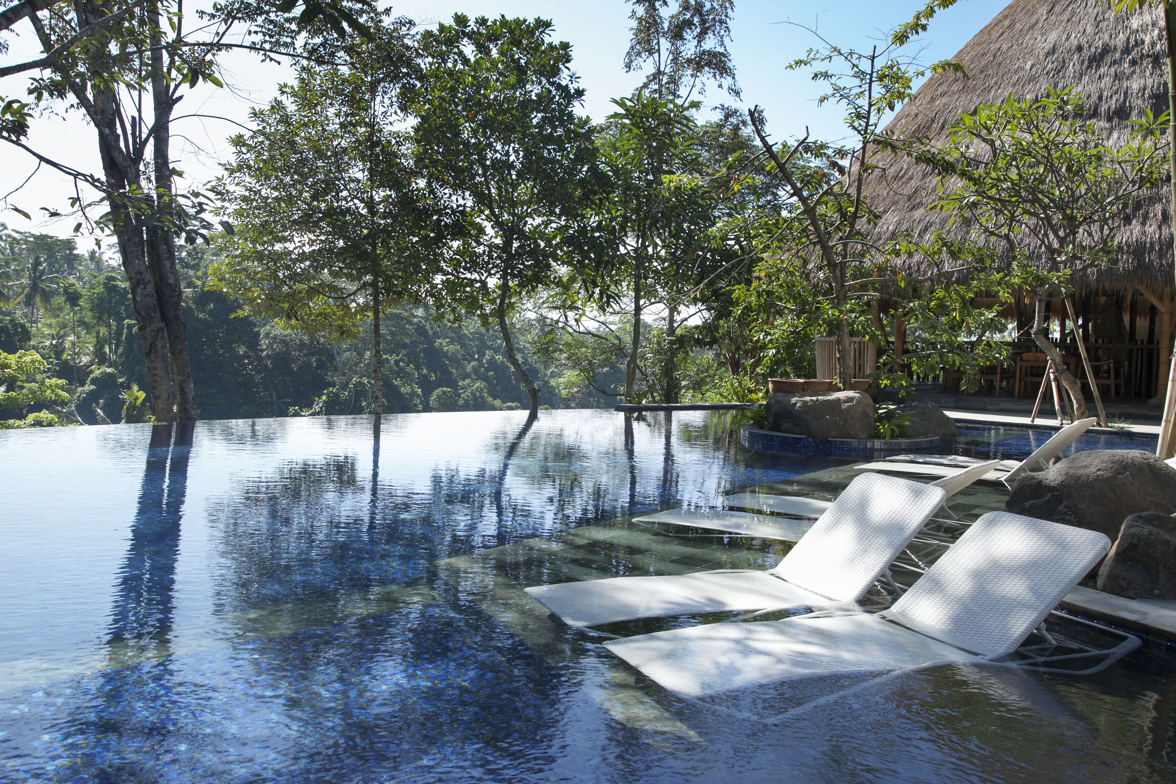 Una piscina infinita de agua cristalina, rodeada de árboles y una estructura con techo de paja.