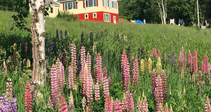 Pension Hoshi Ni Negaiwo