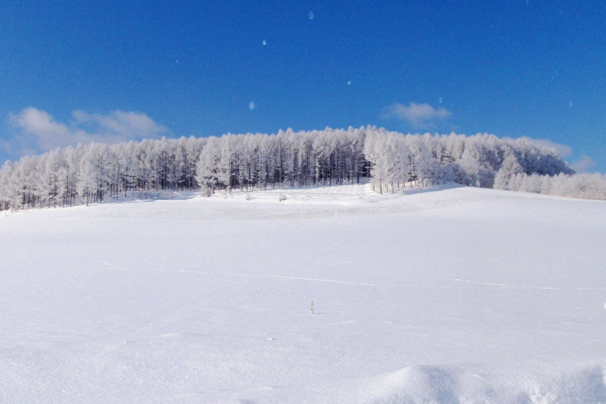 雪鞋健行